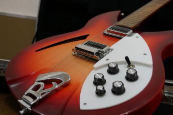 Rickenbacker/リッケンバッカー エレキギター 330 FG