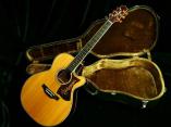 Takamine DMP50S