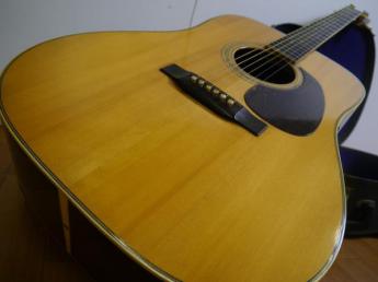 BLUEBELL アコースティックギター W 1000